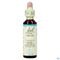Bach Flower Remedie 31 Vervain 20ml