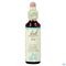Bach Flower Remedie 32 Vine 20ml