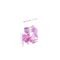 Flexi Fuchsia Borsteltje Micro Fine Interdentaal 6