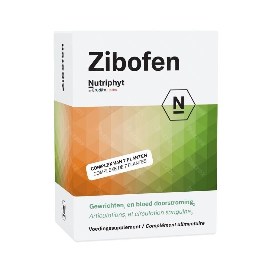Zibofen 60 tab 6x10 blisters