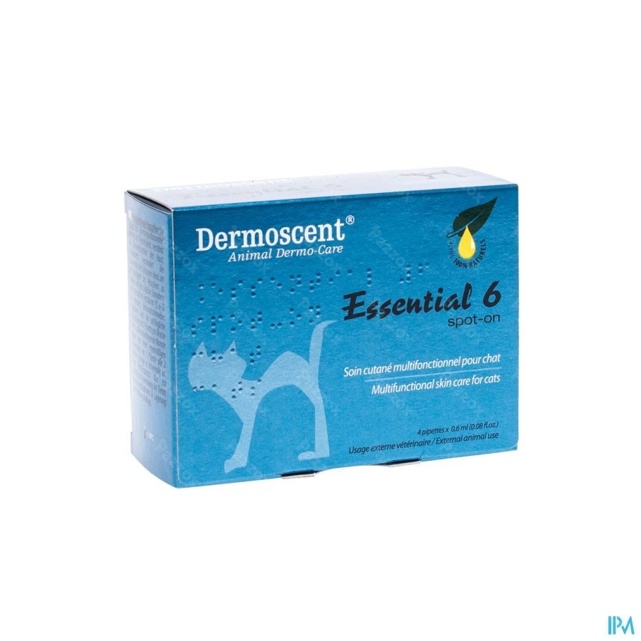Essential 6 Spot-on Kat Pipet 4x0,6ml
