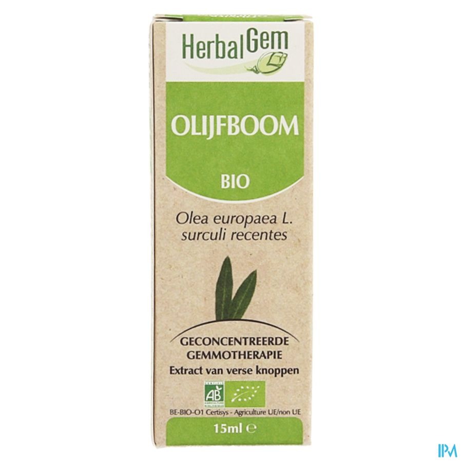 Herbalgem Olijfboom Maceraat 15ml