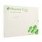 Mepore Film Verb Ster Tr. Adh 15x20cm 10 273000