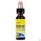Bach Rescue Druppels Nacht 10ml