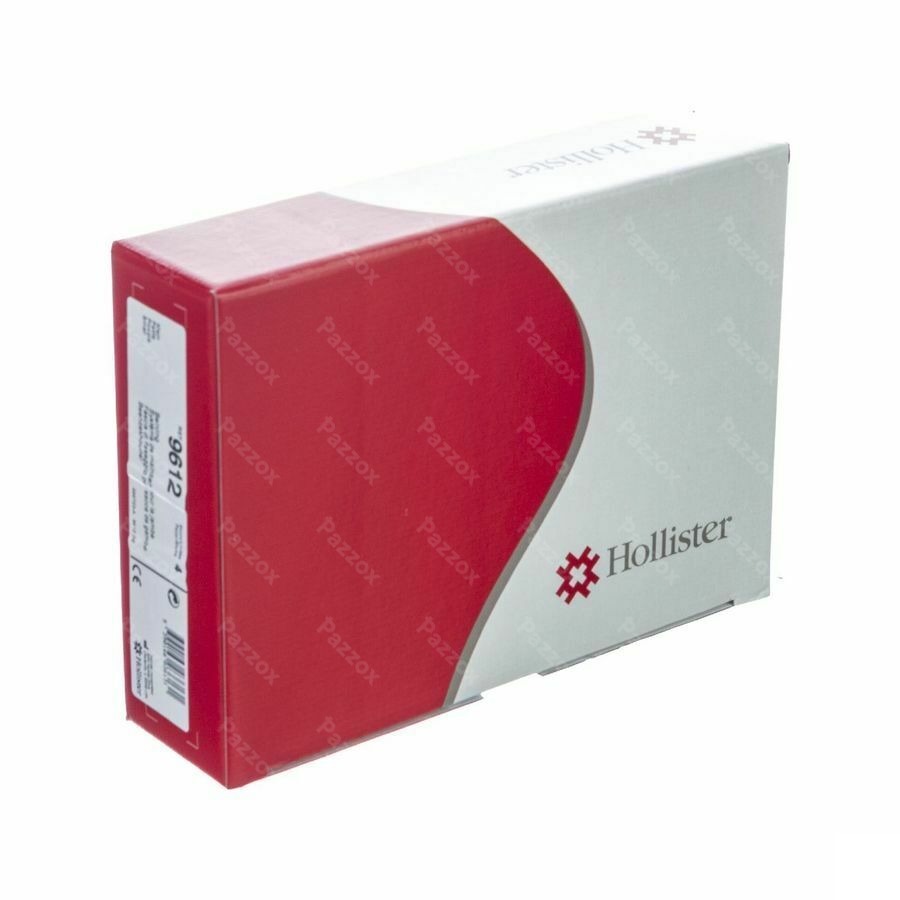 Hollister Beenzakhouder S 4 9612