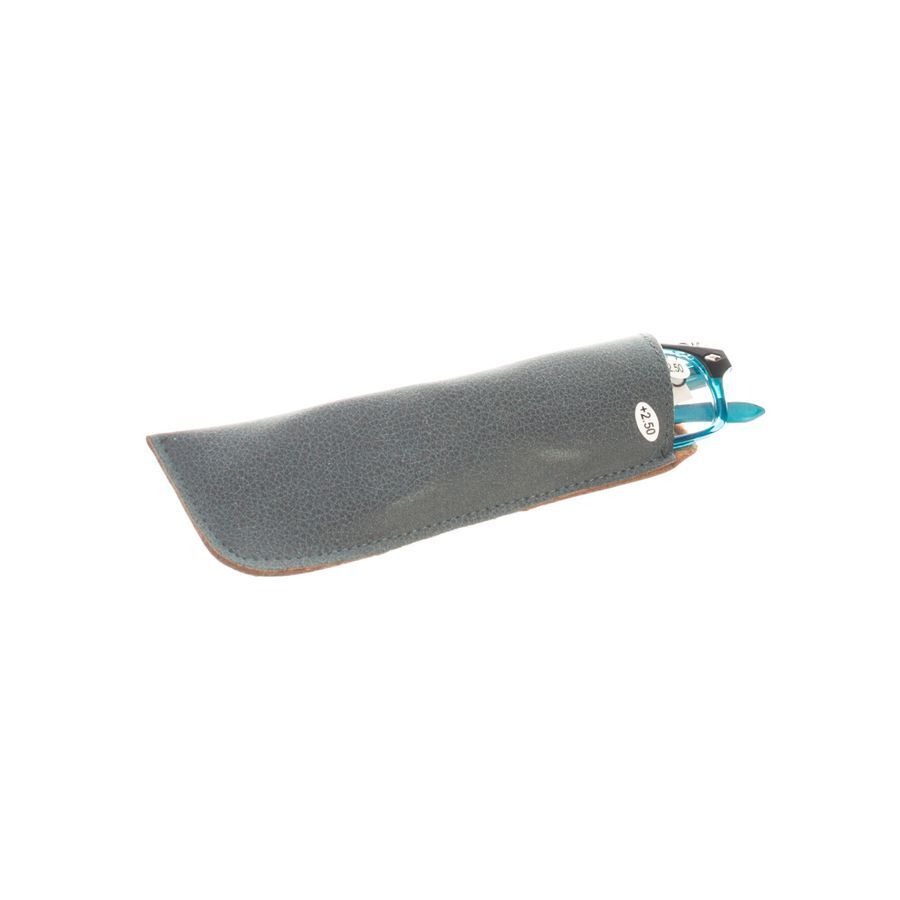 Pharmaglasses Leesbril Diop.+2.50 Blue