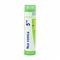 Boiron Nux Vomica 5CH Granulen 4g
