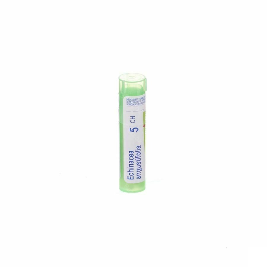 Boiron Echinacea Angustifolia 5CH Granulen 4g