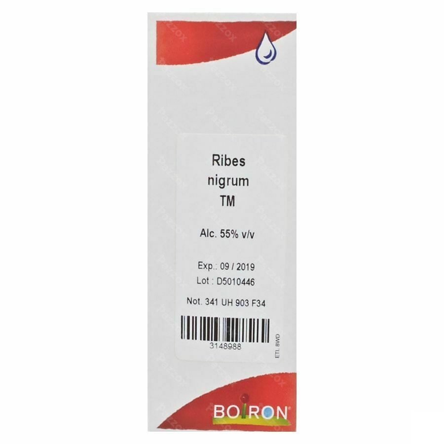 Boiron Ribes Nigrum TM 60ml