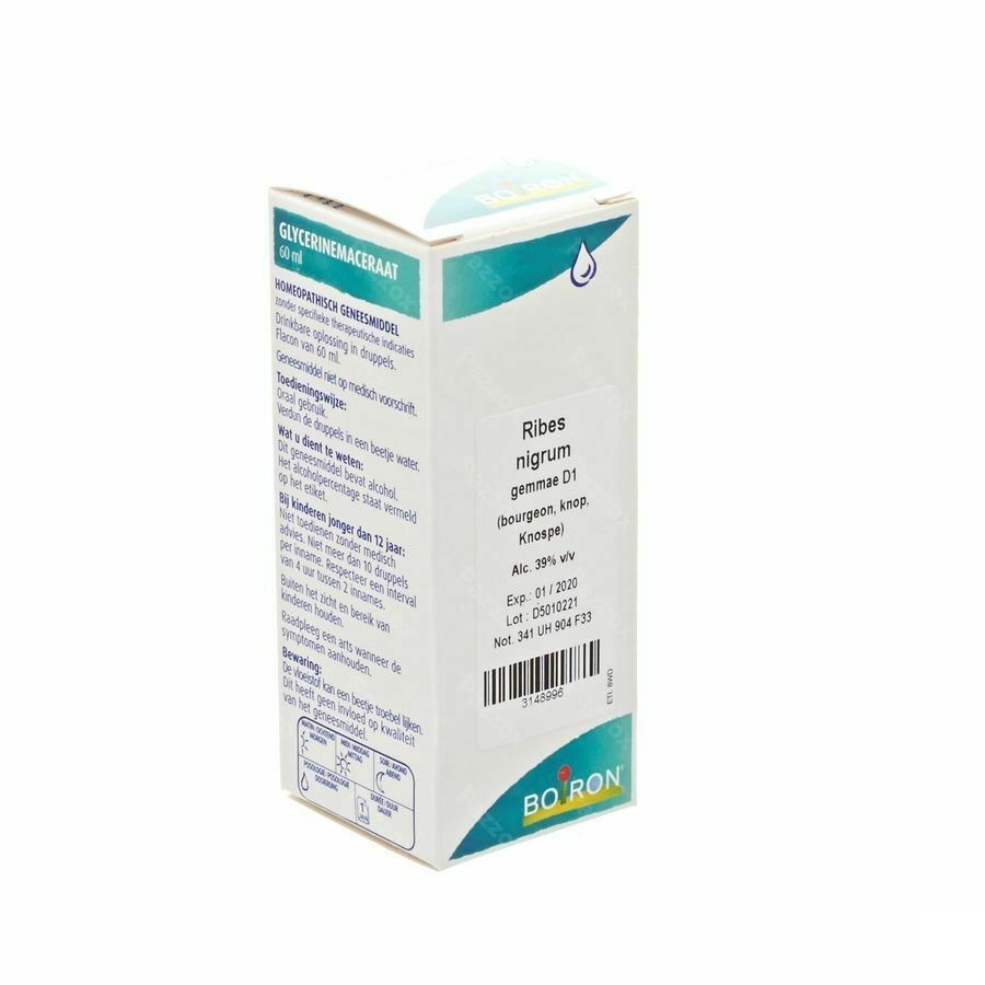 Boiron Ribes Nigrum Gemme D1 60ml