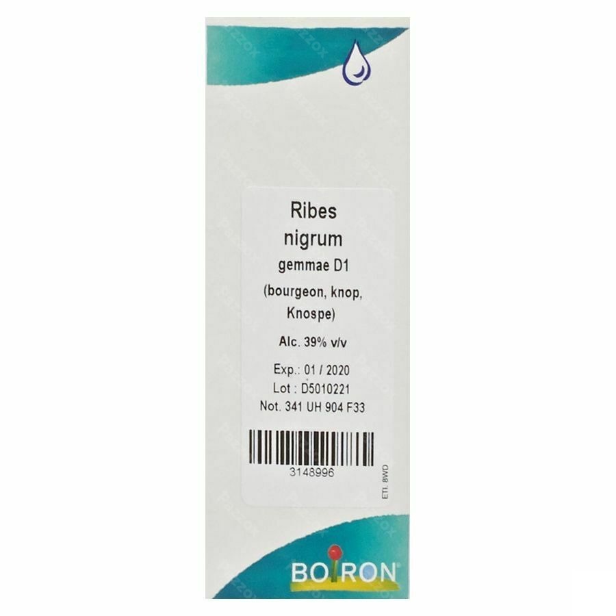 Boiron Ribes Nigrum Gemme D1 60ml