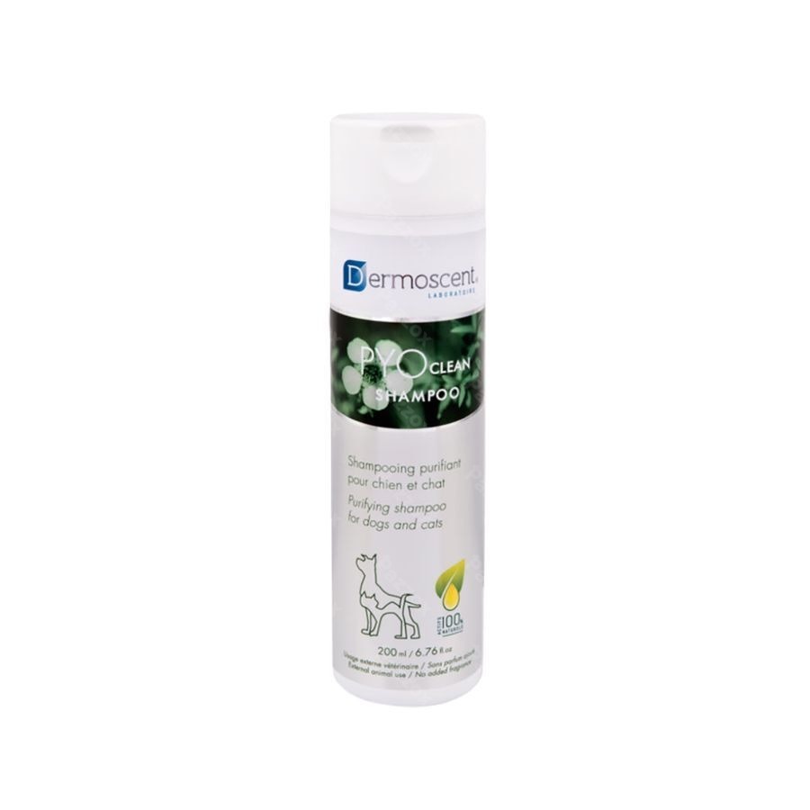 Dermoscent Pyoclean Shampoo Hond Kat Fl 200ml