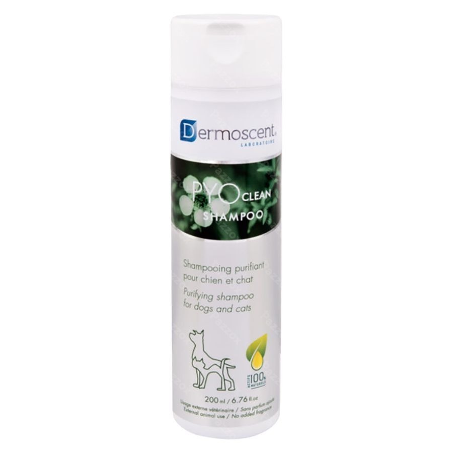 Dermoscent Pyoclean Shampoo Hond Kat Fl 200ml