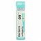 Boiron Berberis Vulgaris 9CH Granulen 4g