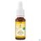 Bachbloesem Bio N°29 Star Of Bethlehem 20ml