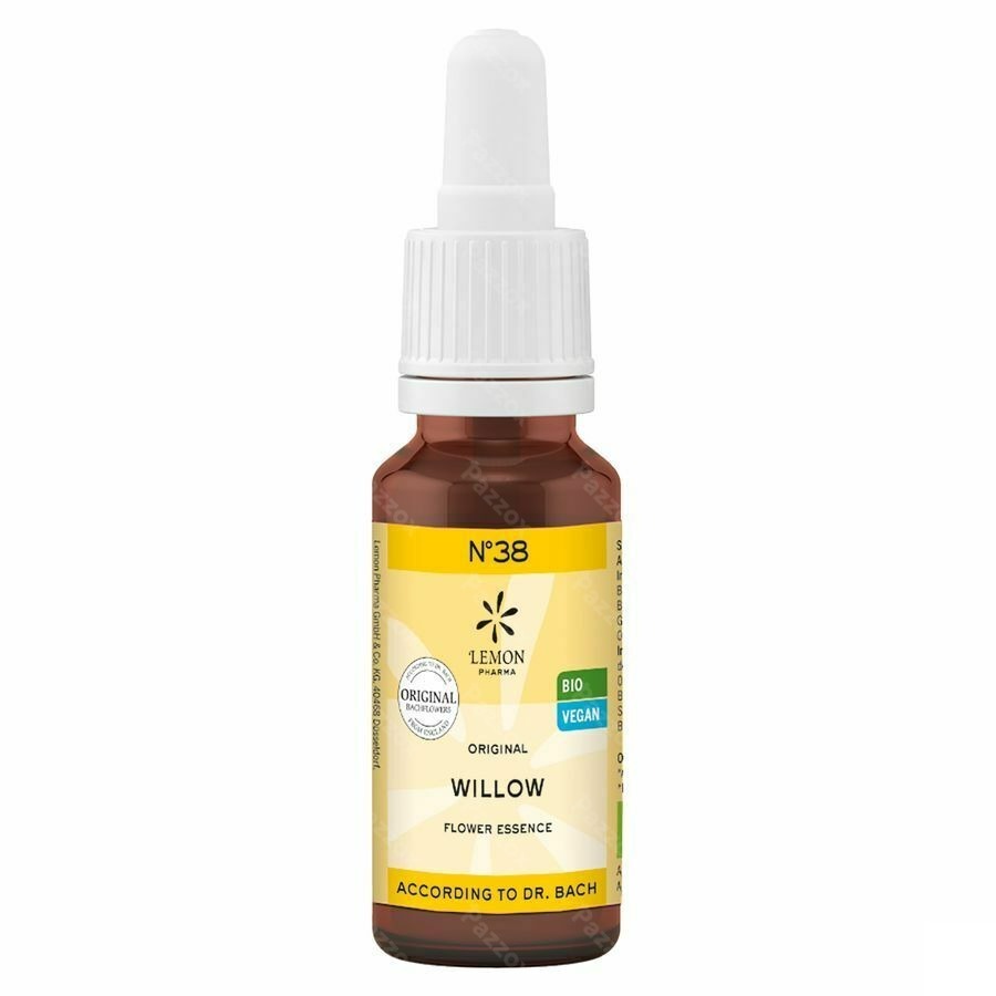Bachbloesem Bio N°38 Willow 20ml