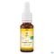 Bachbloesem Bio N°06 Cherry Plum 20ml