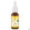Bachbloesem Bio N°19 Larch 20ml