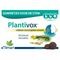 Plantivox Pastilles 24