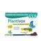 Plantivox Pastilles 24