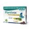 Plantivox Pastilles 24