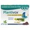 Plantivox Pastilles 24