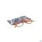 Pharmaglasses Leesbril Comp. +3.00 Brown/orange