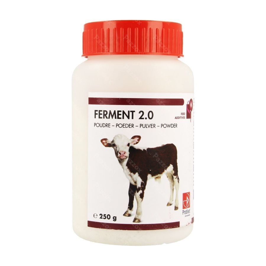 Ferments 2.0 Pdr Pot 250g