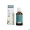 Purasana Puragem Dennen 50ml