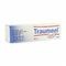 Traumeel Gel 100g Heel