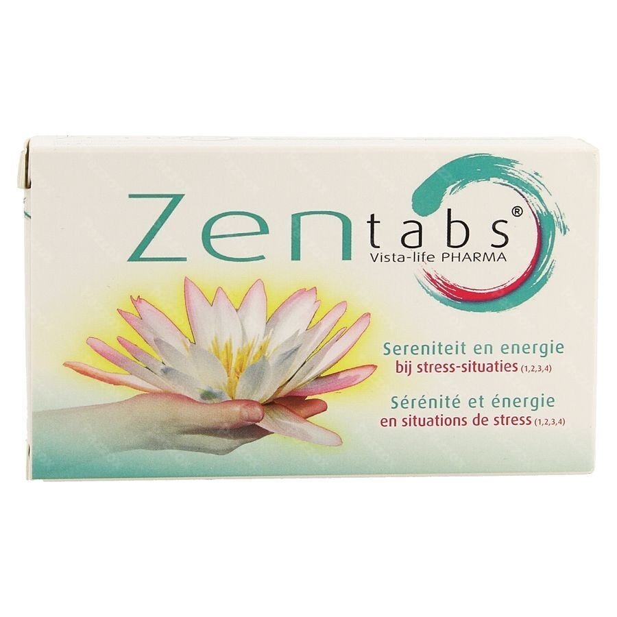 Vista Zentabs Tabl 30