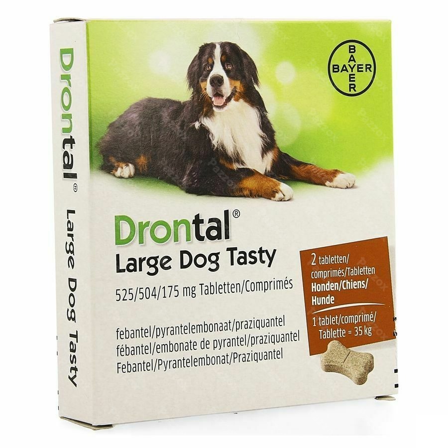 Drontal Large Dog Tasty 2 Tabletten