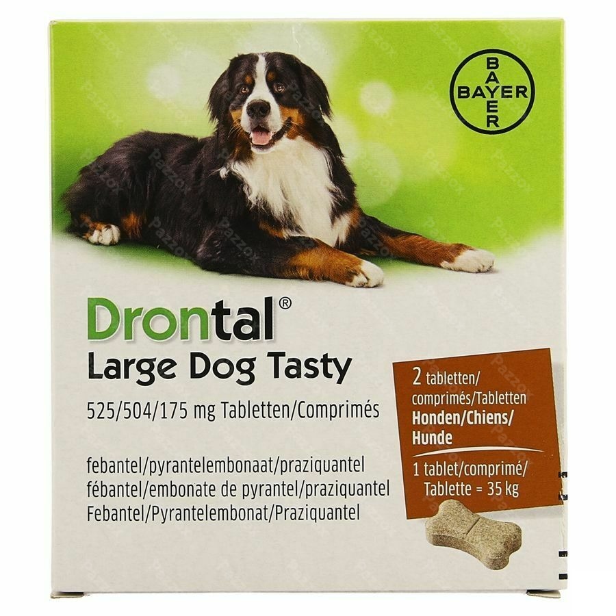 Drontal Large Dog Tasty 2 Tabletten