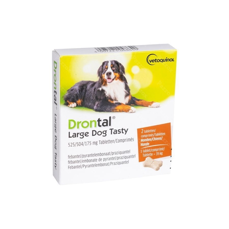Drontal Large Dog Tasty 2 Tabletten