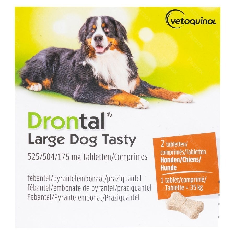 Drontal Large Dog Tasty 2 Tabletten