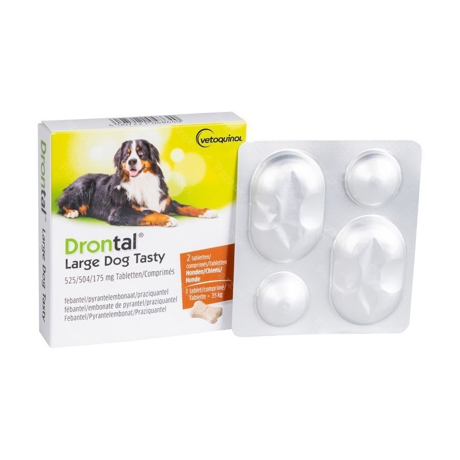 Drontal Large Dog Tasty 2 Tabletten