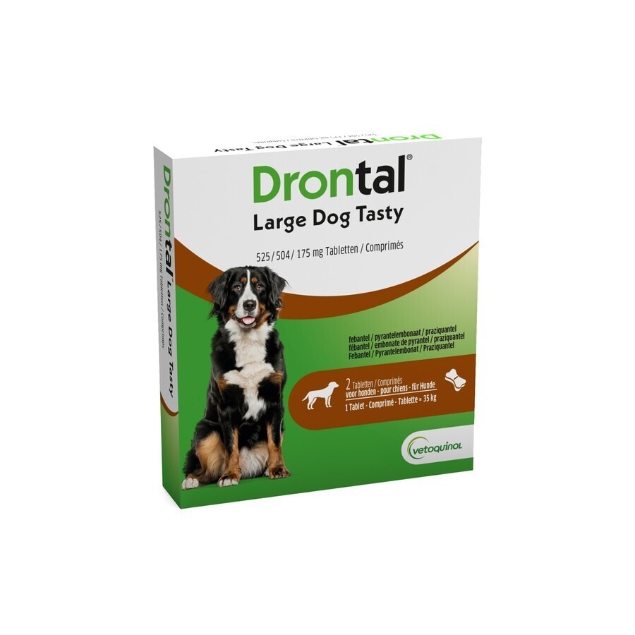 Drontal Large Dog Tasty 2 Tabletten
