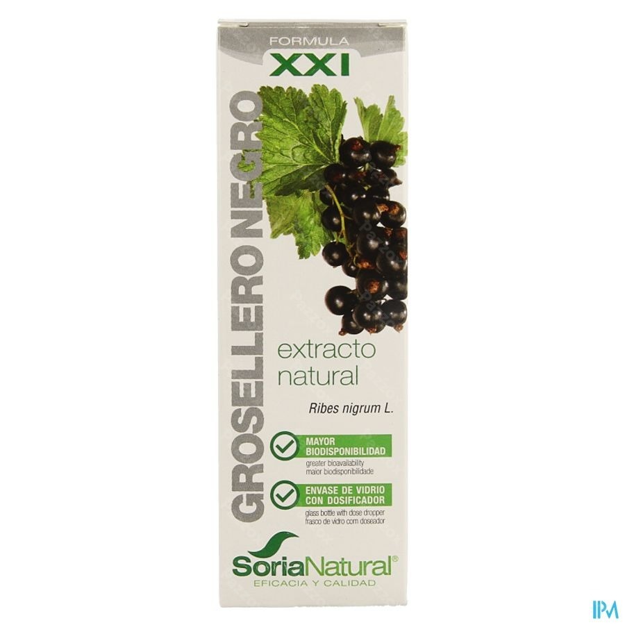 Soria Ribes Nigrum Xxi Extr.fl. 50ml