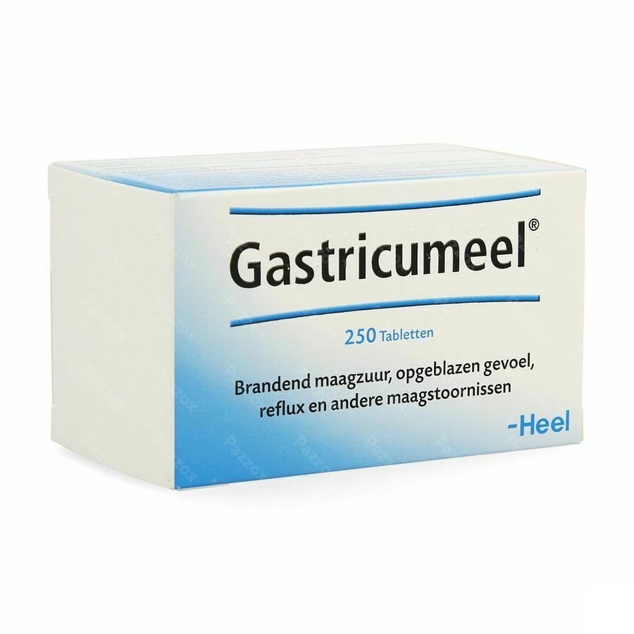 Gastricumeel 250 Tabletten