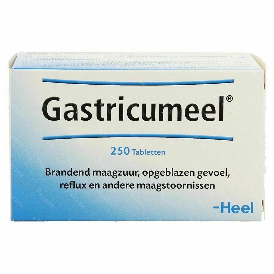 Gastricumeel 250 Tabletten
