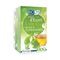 Biolys Ginkgo Groene Thee Sach 24