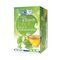 Biolys Ginkgo Groene Thee Sach 24