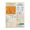 Nestle Baby Cereals Rijst Vanille Glutenvrij Granen Baby +6 Maanden 250g