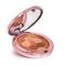 Cent Pur Cent Le Soleil Bronzing Powder Brunettes 5.5g