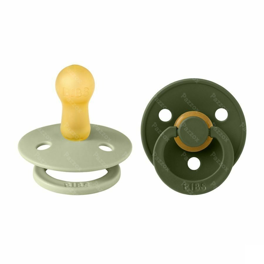 Bibs 2 Fopspeen Duo Sage Hunter Green