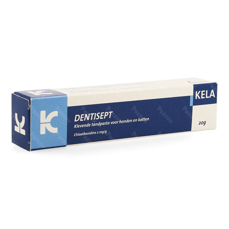 Dentisept Tandpasta Hond Kat Tube 20g