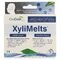 Xylimelts Milde Munt Plak Tabl 2x20