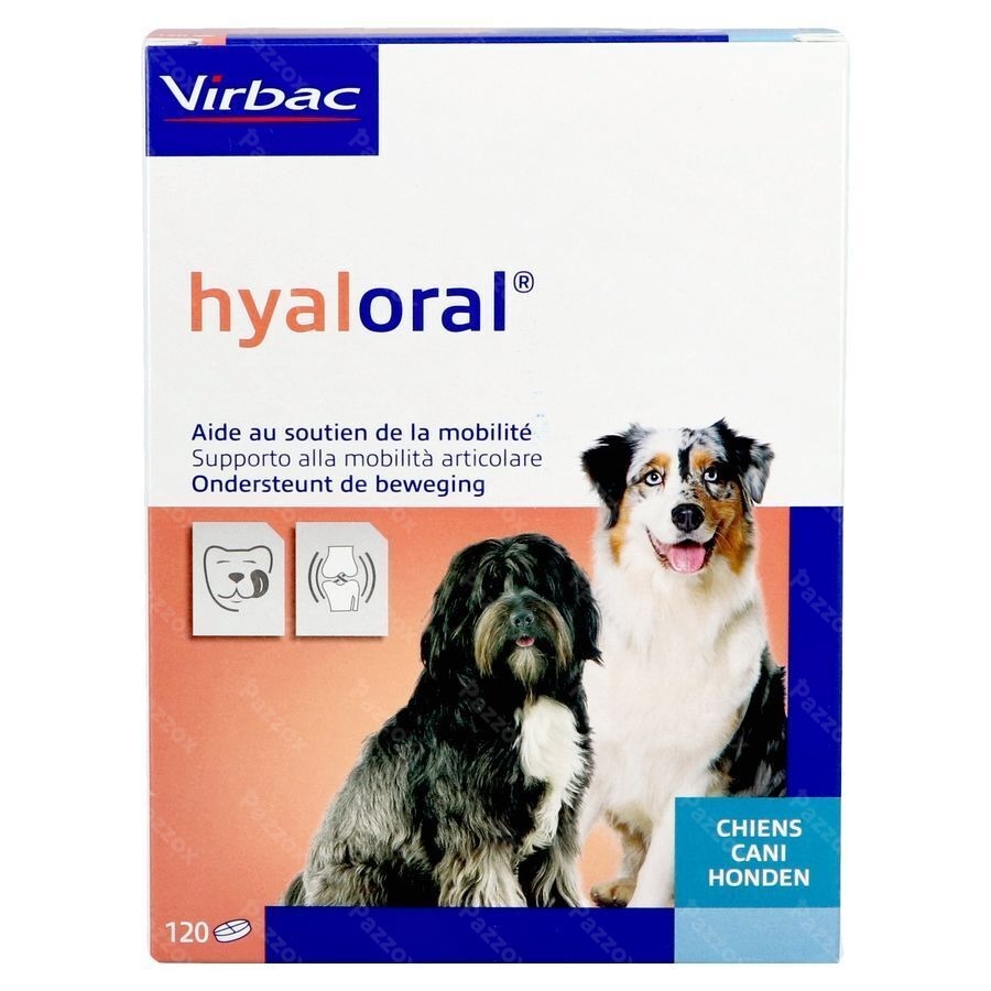 Hyaloral 120 Tabletten