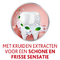 Parodontax Dentifrice Herbal Ginger Tube 75ml