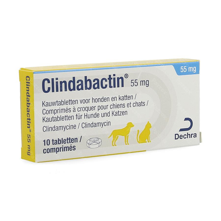 Clindabactin 55mg Kauwtabletten Honden Katten 10